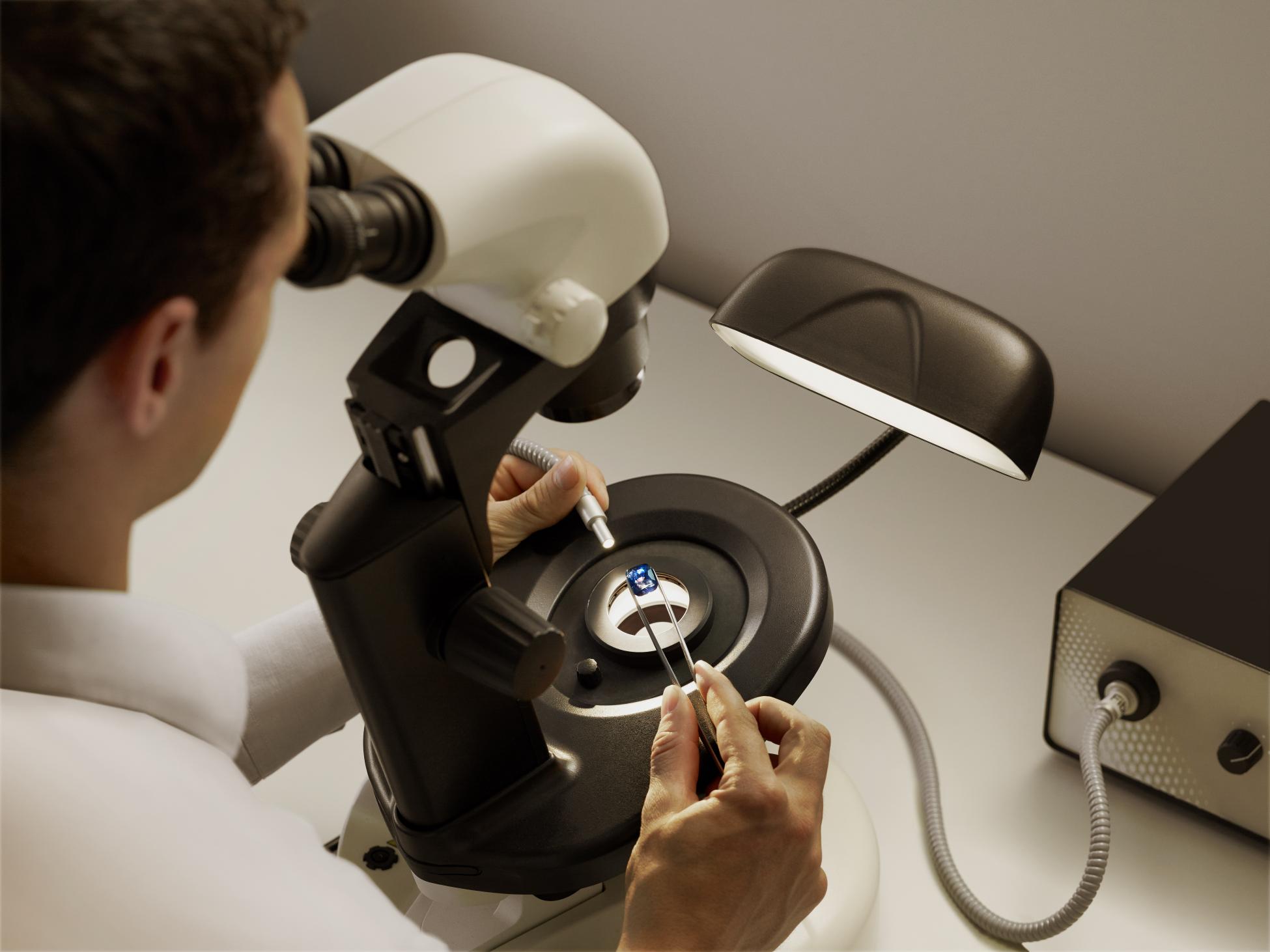 Laboratory